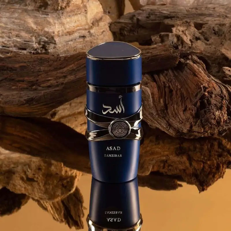Parfum pour homme Asad Zanziba - Perfume High Fragrance avis et prix